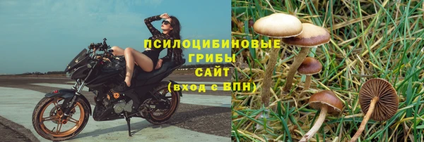 бошки Верея