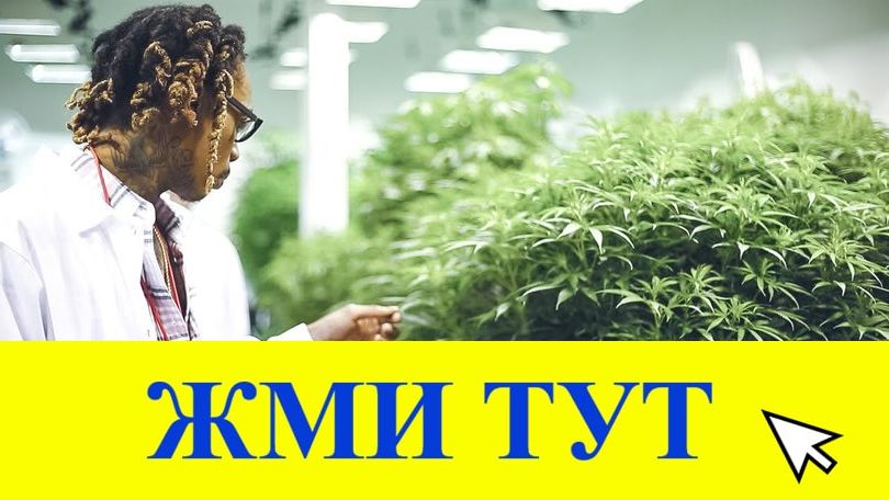 Купить наркотики в Чистополье